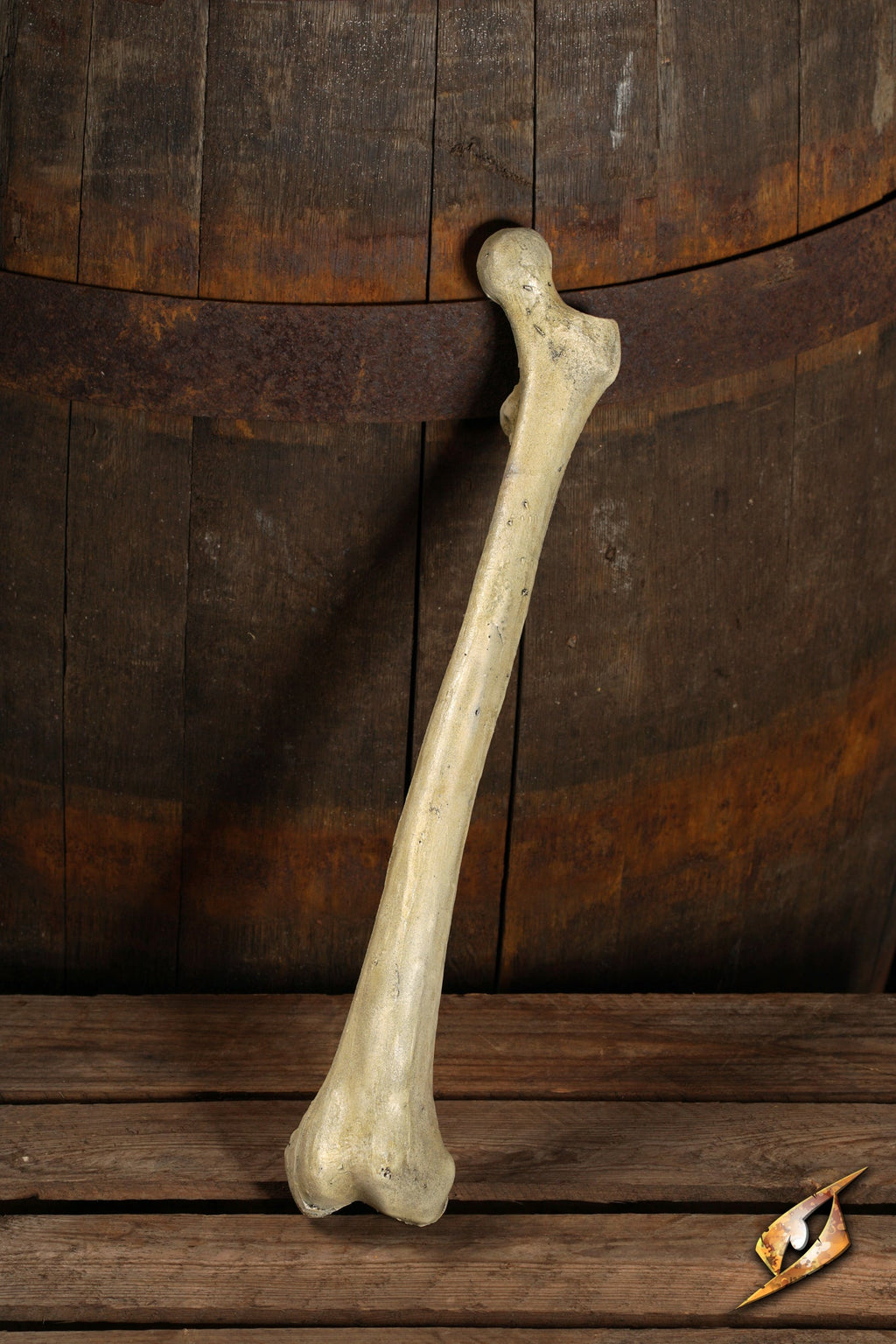 Thigh Bone