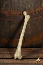 Thigh Bone