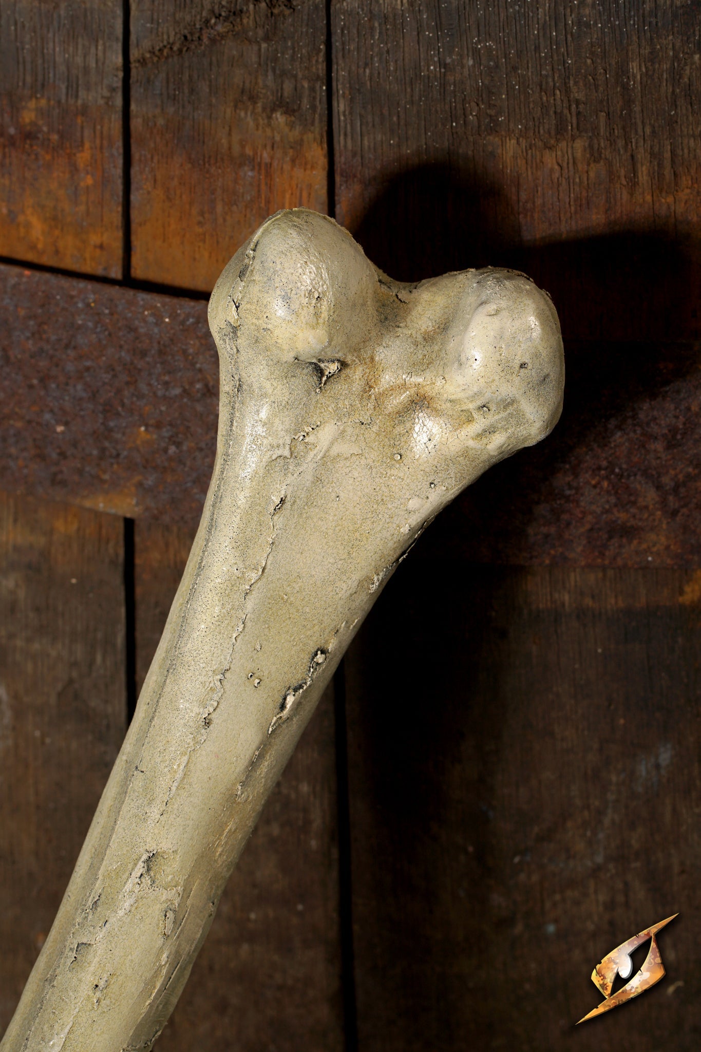 Thigh Bone